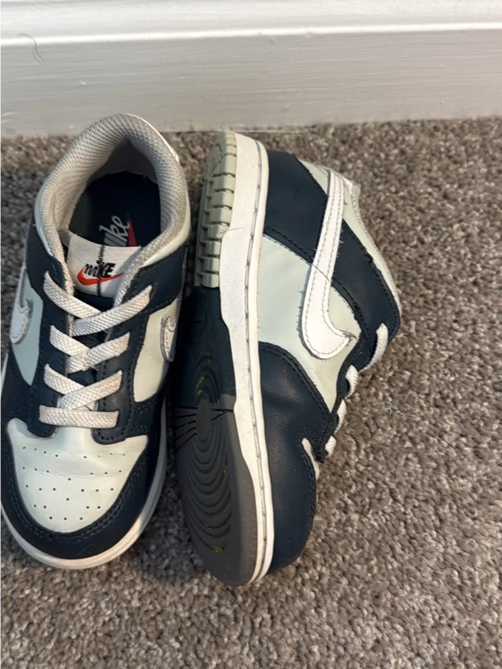 Toddler Nike Dunks